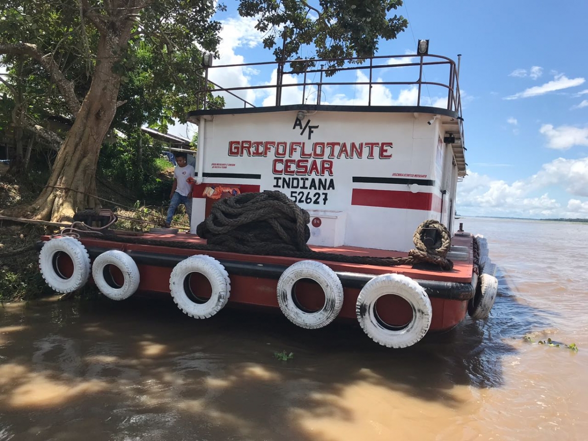 Grifo Flotante Cesar  Indiana